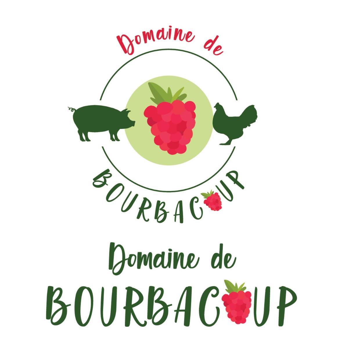 Chambres D'Hotes Du Domaine De Bourbacoup Тюль Екстер'єр фото